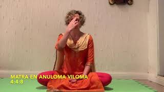 Anuloma Viloma Pranayama [upl. by Zoller]