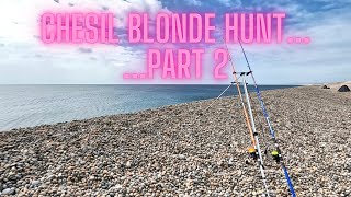 Chesil Blonde Rays Part 2 [upl. by Vanny]