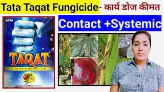 Tata Taqat Fungicide Uses Dose Work Result  Captan70 Hexaconazole5  Tata rallis taqat fungicide [upl. by Yelhak855]