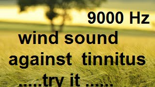 10 minutes wind at 9000 Hz as sound therapy for tinnitus [upl. by Ahsinra]