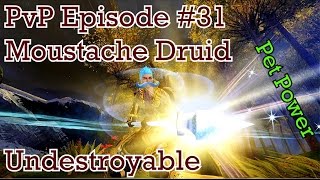 Guild Wars 2  Druid Ranger PvP Episode 31UndestroyableampPetPower [upl. by Dilan]