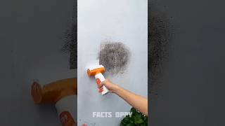 clean the wall fast 🤯三 New Viral Gadgets Smart Appliances Kitchen UtensilsHome Inventions shorts [upl. by Gerdeen]