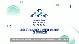 Nouveau DAMANCOM  Guide d’Utilisation d’Immatriculation [upl. by Maje389]