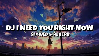 DJ I NEED YOU RIGHT NOW Slowed amp Reverb [upl. by Drareg]