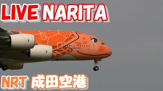 🔴LIVE at NARITA International Airport Plane Spotting 202408013 成田空港ライブカメラ 成田空港 NRTRJAA [upl. by Mulderig]