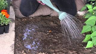 How to Mulch OverSown Seeds  The Chefs Garden [upl. by Sherburne]