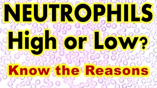 Neutrophils count High or Low Know the Reasons [upl. by Adlare274]