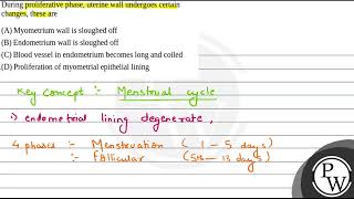 During proliferative phase uterine wall undergoes certain changes these are [upl. by Vernita831]