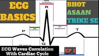 ECG basics in hindi  ECG interpretation Made Easy How to read ECG in hindi  EP 1 [upl. by Allista]