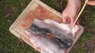 Primitive Skills Ponassing  Fillet and Cook a trout the Indigenous way [upl. by Uriisa]