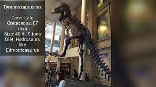 Denver Museum of Nature and Science  Prehistoric Journey and Extreme Mammals exhibits part 22 [upl. by Elagibba]