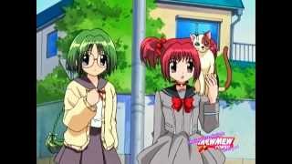 Mew Mew Power English Fandub Episode 29 Part 1 [upl. by Ddot]