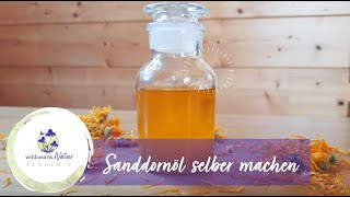 Sanddornöl selber machen [upl. by Ellinej]