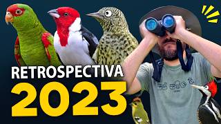 GRANDES MOMENTOS do Planeta Aves  RETROSPECTIVA 2023 [upl. by Singh]