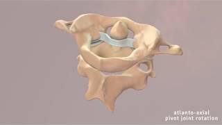 Atlantoaxial Joint Movement [upl. by Jermyn]