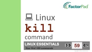 Linux kill command summary with examples [upl. by Ettennil921]