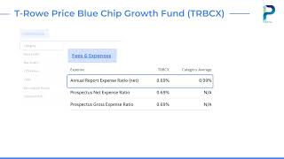 Fund Overview 23  TRBCX  TRowe Price Blue Chip Growth Fund [upl. by Thorne398]