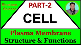 Part 2  Cellular Level of Organization  Plasma Membrane Structure amp Functions  B Pharm  Nursing [upl. by Yesac920]