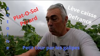 Plateau Pérard lève caisse Defrance petit tour par les galipes Vendange 2023 Champagne [upl. by Oaht]