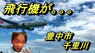 飛行機が近くで見られる千里川土手に行って来ました！！ 大迫力！大阪（伊丹）空港！離発着シーン！【関西！ 子供とおでかけ！】 [upl. by Ellimahs]