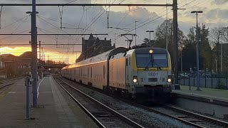 Trains à la Gare de Soignies  Bourreuse Traxx etc [upl. by Kcirrad]