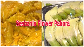 Sesbania Flower Pakora  Easy Recipe  বক ফুল পাকোড়া [upl. by Ambrose642]