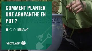 TUTO Comment planter une agapanthe en pot   Jardinerie Gamm vert [upl. by Ahsenad124]