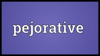 Pejorative Meaning [upl. by Adidnere429]