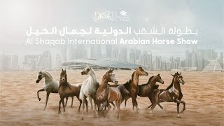 Al Shaqab International Arabian Horse Show 17th amp 18th November 2023 Day 2 [upl. by Eliezer]