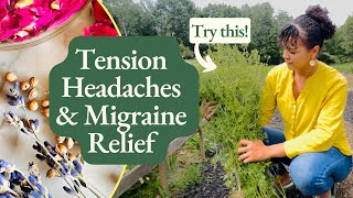 Herbs for Headaches amp Migraines Natural Remedies that Work [upl. by Maiocco969]