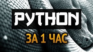 Учим Python за 1 час От Профессионала [upl. by Neltiak]