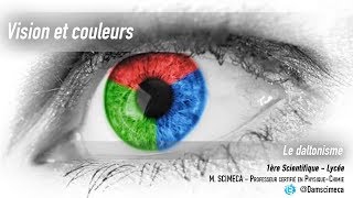 Vision et couleurs  Le daltonisme [upl. by Audry187]