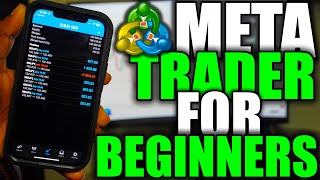 How To Use METATRADER 4 STEP BY STEP For Beginners 2024  METATRADER 4 FOREX TRADING Tutorial [upl. by Jessalyn139]