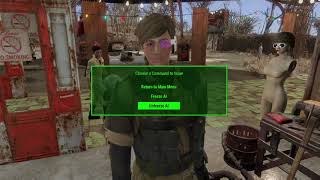 Fallout 4 mods Custom Companions [upl. by Ambrogio334]