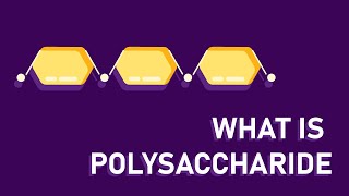 What are polysaccharides [upl. by Elodea525]