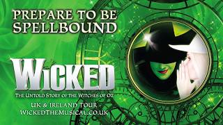 Meet the cast of Wicked [upl. by Jen]