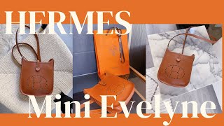 Hermes Mini Evelyne Review  What Fits Inside [upl. by Ajiam]