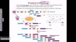 Protein Transport into Mitochondria [upl. by Betsy266]