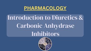 Introduction to Diuretics  Carbonic Anhydrase Inhibitors [upl. by Baler450]