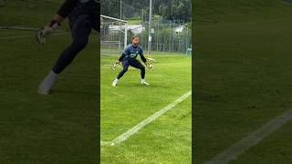 Oliver Baumann Excellent 1v1 Training shorts [upl. by Virge878]