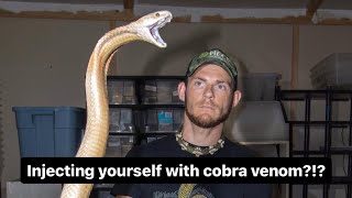 Injecting yourself with cobra venom [upl. by Munt477]