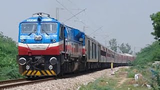 quotMaharana Pratapquot Tribute TKD40290 WDP4D Lead 12455 DEE BKN Express [upl. by Ordway]