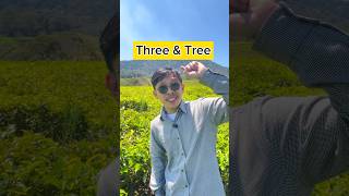 Bedanya Tree dan Three belajar bahasainggris edukasi learnenglish pronunciation [upl. by Cari373]