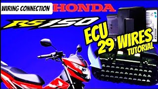 HONDA RS150 ECU 29 WIRES CONNECTION TUTORIAL  HONDA RS 150 ECU WIRING DIAGRAM [upl. by Hares]