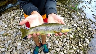 Pêche des GROSSES truites au leurre [upl. by Norrat939]