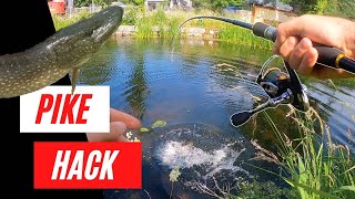 Topwater lure fishing MADE EASY  How to catch pike [upl. by Akenn]