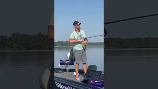 Still Catching those Reelfoot Lake crappie fishing LakeLife Tennessee reelfoot outdoor [upl. by Manya795]