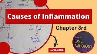 Causes of Inflammationrobbins pathology chapter 3inflamation and repairpathology lecturespathoma [upl. by Pampuch767]