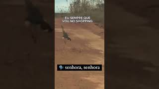 SENHORA SENHORA 🤣🤣🤣 [upl. by Killion]