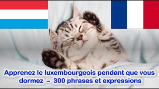 Apprenez le luxembourgeois pendant que vous dormez  300 phrases et expressions tous les niveaux [upl. by Estella]